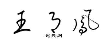 梁锦英王月凤草书个性签名怎么写