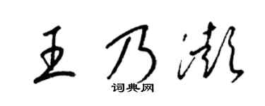 梁锦英王乃澎草书个性签名怎么写