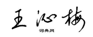 梁锦英王沁梅草书个性签名怎么写