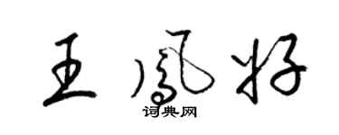 梁锦英王凤好草书个性签名怎么写