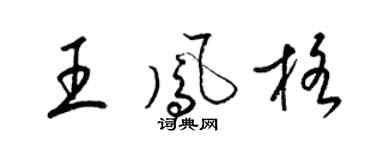 梁锦英王凤格草书个性签名怎么写