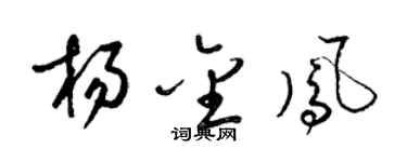 梁锦英杨金凤草书个性签名怎么写