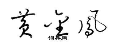 梁锦英黄金凤草书个性签名怎么写