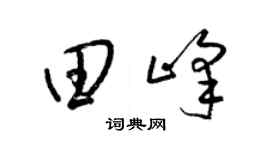 梁锦英田峰草书个性签名怎么写