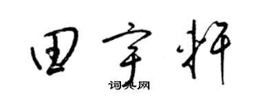 梁锦英田宇轩草书个性签名怎么写