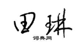 梁锦英田琳草书个性签名怎么写