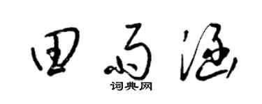 梁锦英田雨涵草书个性签名怎么写