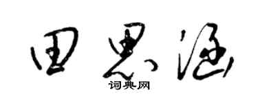 梁锦英田思涵草书个性签名怎么写