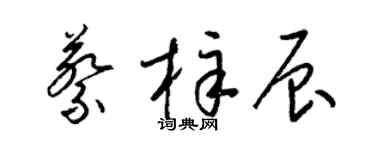 梁锦英蔡梓辰草书个性签名怎么写