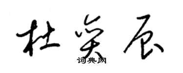 梁锦英杜奕辰草书个性签名怎么写