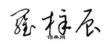 梁锦英罗梓辰草书个性签名怎么写