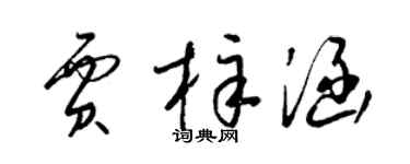 梁锦英贾梓涵草书个性签名怎么写