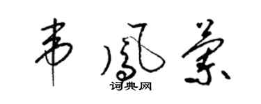 梁锦英韦凤兰草书个性签名怎么写