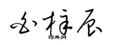 梁锦英白梓辰草书个性签名怎么写