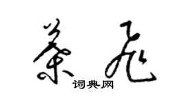 梁锦英叶飞草书个性签名怎么写