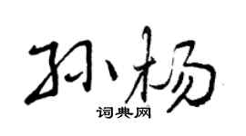 曾庆福孙杨行书个性签名怎么写