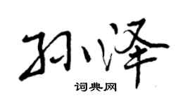 曾庆福孙泽行书个性签名怎么写