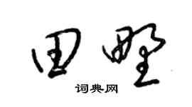 梁锦英田野草书个性签名怎么写