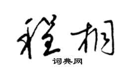 梁锦英程桐草书个性签名怎么写