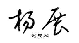 梁锦英杨展草书个性签名怎么写