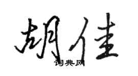 骆恒光胡佳行书个性签名怎么写