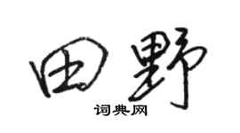 骆恒光田野行书个性签名怎么写