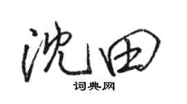 骆恒光沈田行书个性签名怎么写