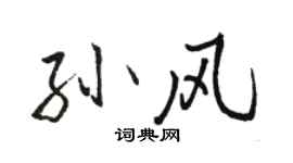 骆恒光孙风行书个性签名怎么写