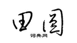 梁锦英田圆草书个性签名怎么写