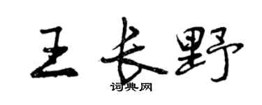 曾庆福王长野行书个性签名怎么写