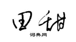 梁锦英田甜草书个性签名怎么写