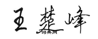 骆恒光王楚峰行书个性签名怎么写