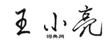 骆恒光王小亮行书个性签名怎么写