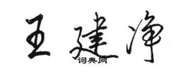 骆恒光王建净行书个性签名怎么写