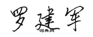 骆恒光罗建军行书个性签名怎么写