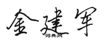 骆恒光金建军行书个性签名怎么写