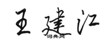 骆恒光王建江行书个性签名怎么写