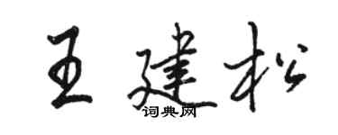 骆恒光王建松行书个性签名怎么写