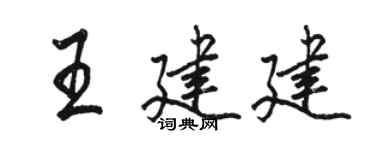 骆恒光王建建行书个性签名怎么写