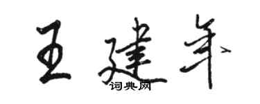 骆恒光王建年行书个性签名怎么写