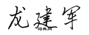 骆恒光龙建军行书个性签名怎么写