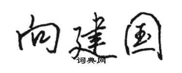 骆恒光向建国行书个性签名怎么写