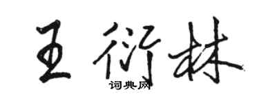 骆恒光王衍林行书个性签名怎么写