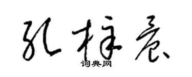 梁锦英孔梓晨草书个性签名怎么写