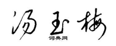 梁锦英汤玉梅草书个性签名怎么写