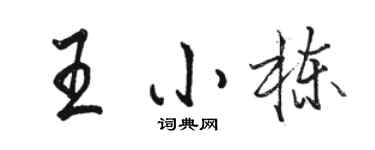 骆恒光王小栋行书个性签名怎么写