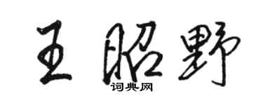 骆恒光王昭野行书个性签名怎么写