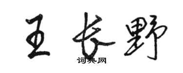 骆恒光王长野行书个性签名怎么写