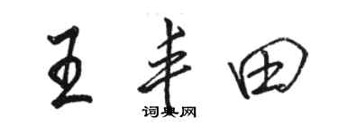 骆恒光王丰田行书个性签名怎么写