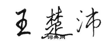 骆恒光王楚沛行书个性签名怎么写